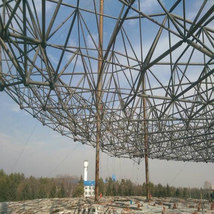 樟树球形网架钢结构施工方案